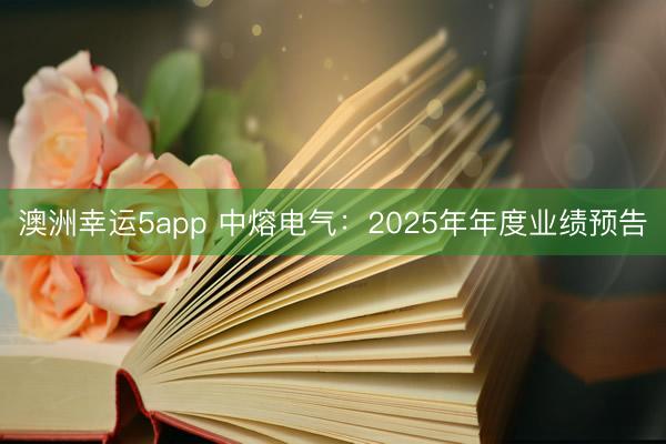澳洲幸運(yùn)5app 中熔電氣:2025年年度業(yè)績預(yù)告